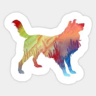 Border collie Sticker